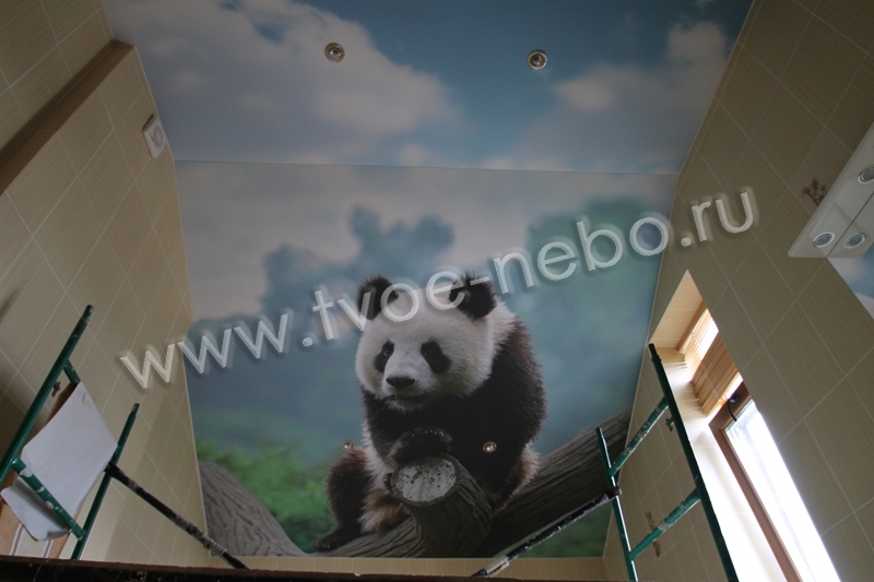 панда на натяжном потолке
